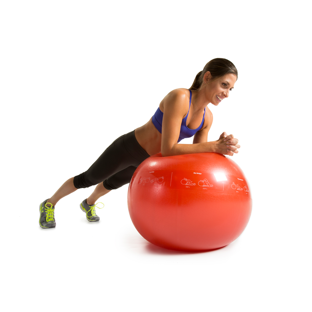 Gofit pro stability outlet ball