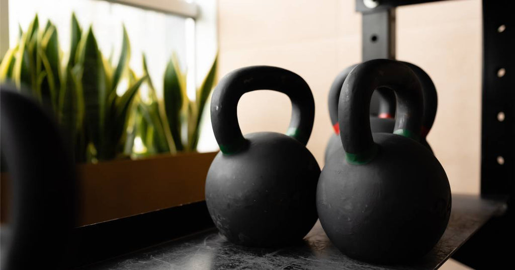 A pair of black kettlebells sitting on a metal shelf. Green and yellow plants grow next to a window in the same room.