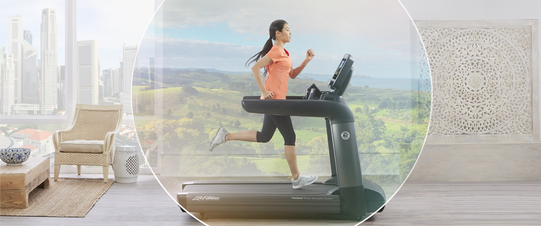Life Fitness Sale!  Including bikes, ellipticals, treadmills and gyms.